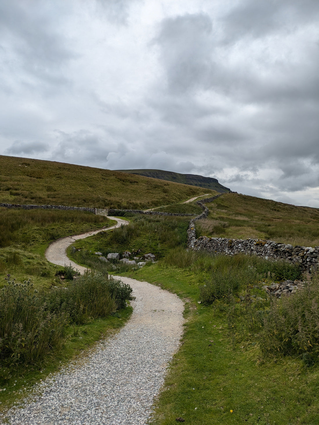 Winding stone-walled path leading up to the summit of Pen-y-ghent under a cloudy sky, Yorkshire Dales