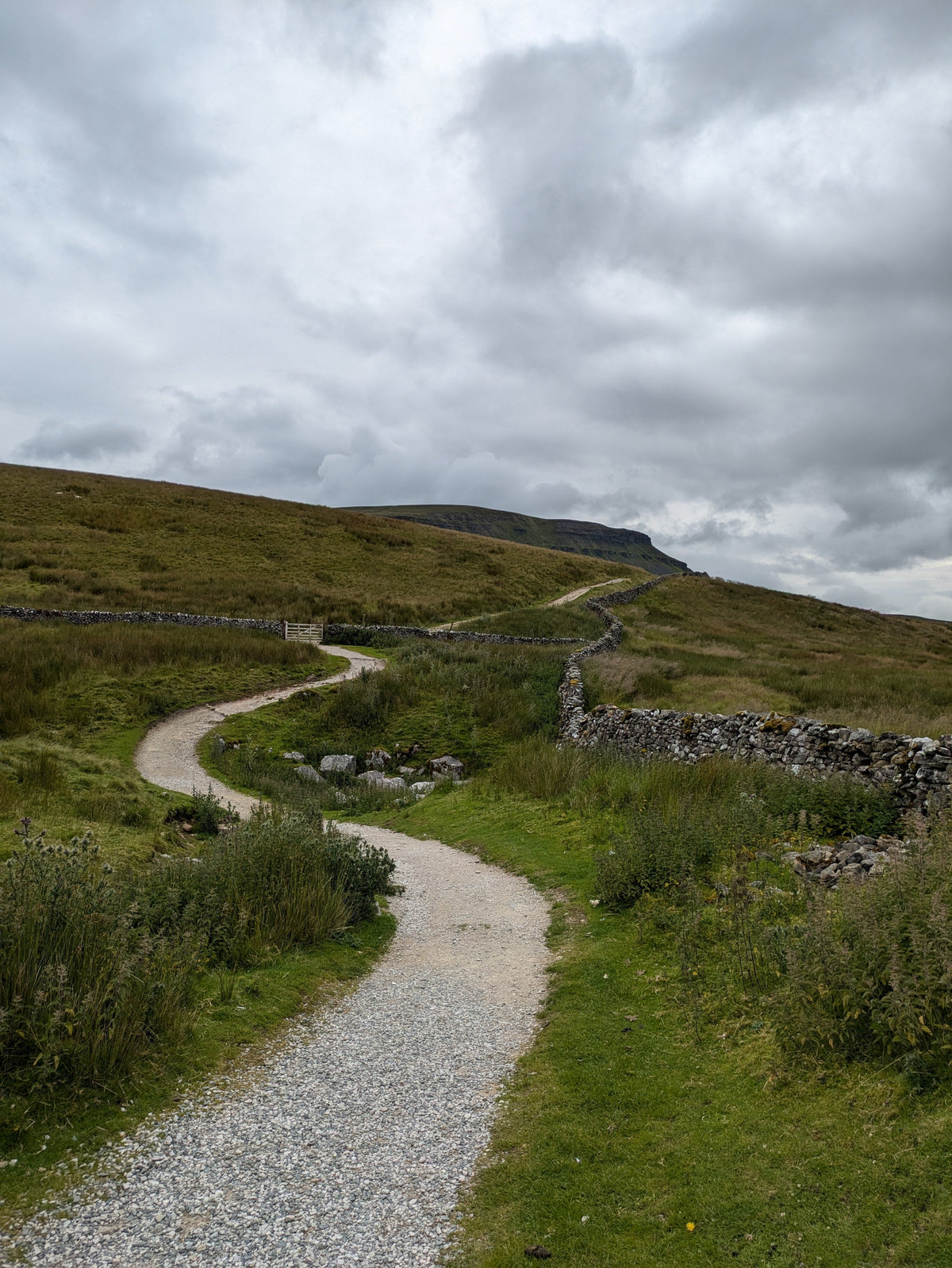 Winding stone-walled path leading up to the summit of Pen-y-ghent under a cloudy sky, Yorkshire Dales