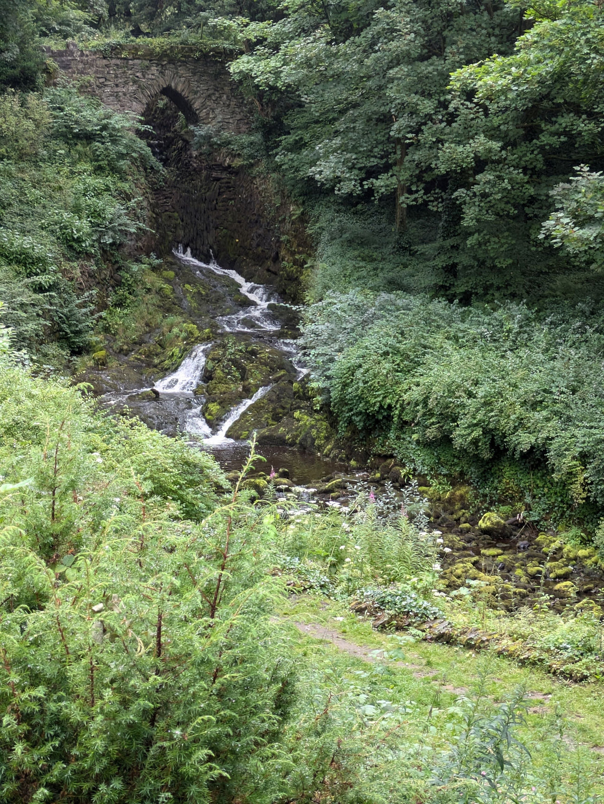 Yorkshire Woodland Trails Collection